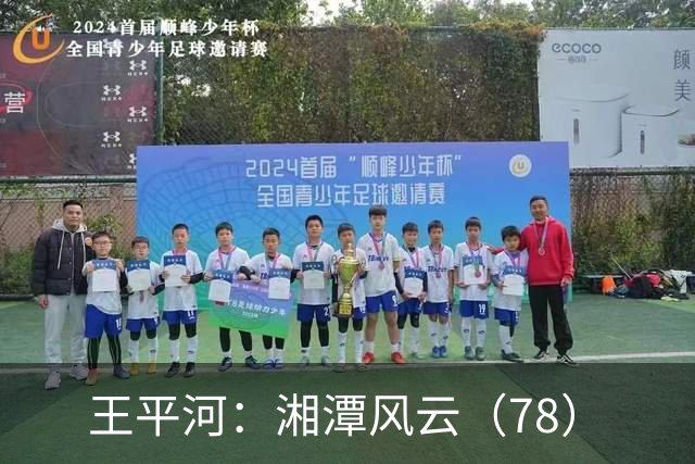 王平河：湘潭风云（7/8）